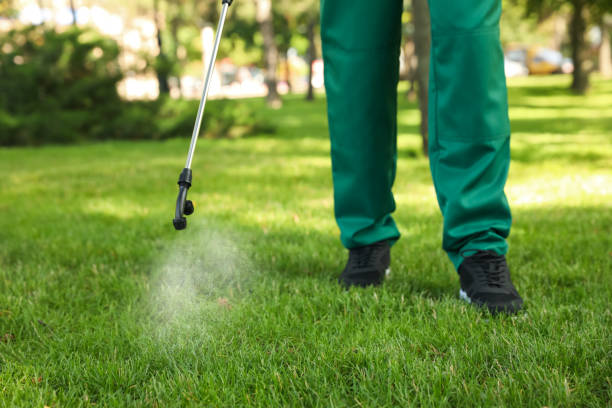 Best Pest Inspection Near Me  in Oxford, MI