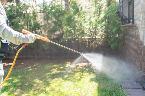 Best Affordable Pest Control Services  in Oxford, MI
