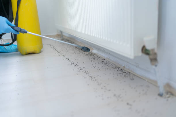 Oxford, MI Pest Control Company